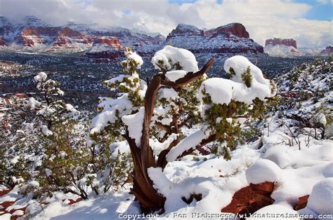 Winter Snow Sedona Snow