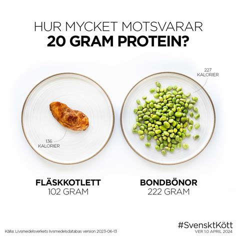 Protein i kött | Svenskt Kött