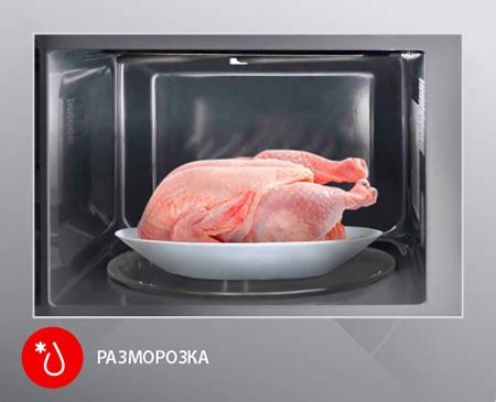 Встраиваемая микроволновая печь EXM-106 black - EXITEQ.COM