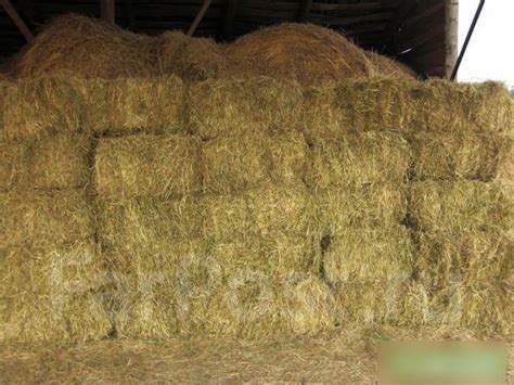 Сено в квадратных тюках, под заказ. Цена: 250₽ во Владивостоке