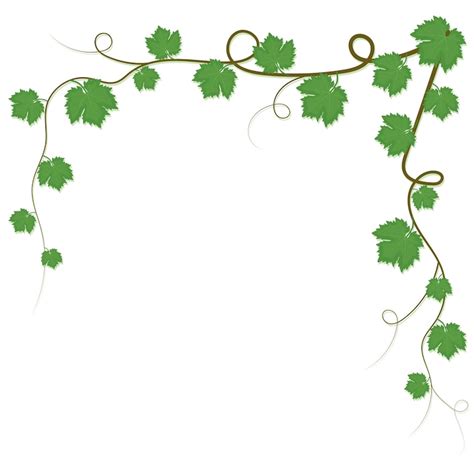 vine borders clip art rose vine border vector images