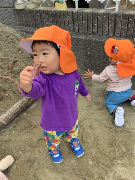 ひよこ・あひる組🍠お芋掘り 社会福祉法⼈ 未来福祉会