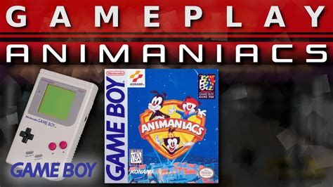 Gameplay Animaniacs Gameboy Youtube