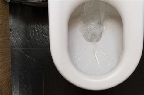 Homeowners' Tip: Helpful Steps to Removing Toilet Clogs Without a ...