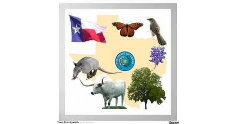 texas_state_symbols_poster-ra7ebeef999714f0898f140c97d742eee_w2q_8byvr ...