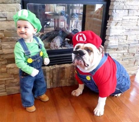 Halloween’s Cutest Puppy & Baby Costumes - DriveTime Blog