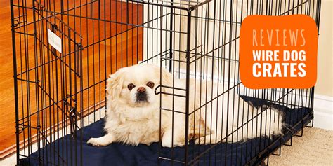 10 Best Wire Dog Crates [2025 – Review]