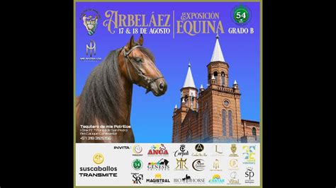 Feria Exposicion Equina Grado B Arbelaez Dia Paso Fino