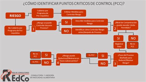 Red De Consultores Identificaci N De Puntos Cr Ticos De Control