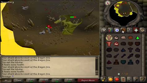 Runescape 2007 1 Defence Pure Dragon Slayer Elvarg Guide Youtube