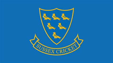 Sussex Cricket Statement: ICEC Report on Equity in Cricket | Sussex Cricket