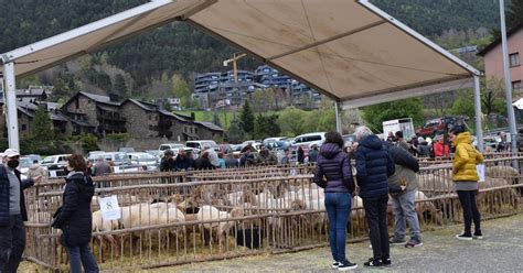 La Fira Del Bestiar D Ordino Rep Prop De 5 000 Visitants