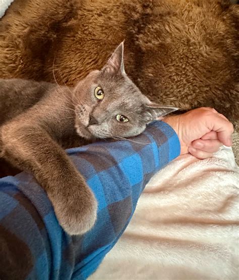 Grumpy Gay Gardener On Tumblr