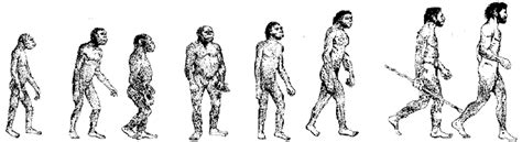 Evolución Humana Según Gurdjieff