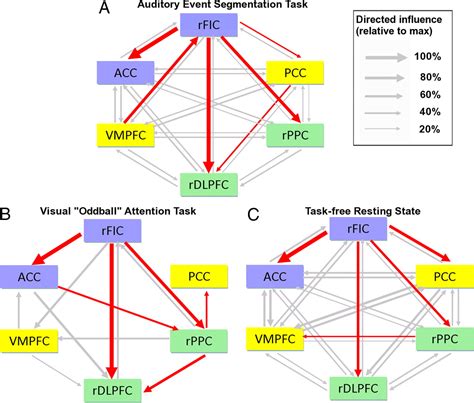 A Critical Role For The Right Fronto Insular Cortex In Switching Between Central Executive And