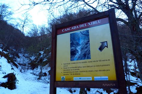 Ruta De La Cascada Del Xiblu Por El Hayedo De Montegrande Asturias