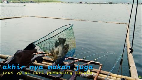 Mancing Cirata Terbaru Mancing Spot Malimping Cirata Part2 YouTube