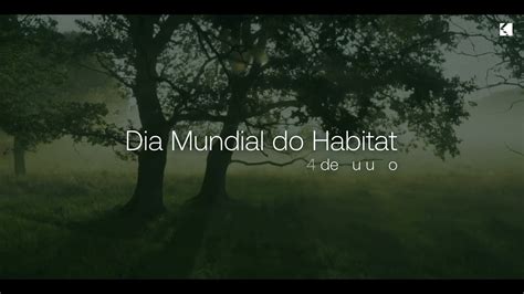 Dia Mundial Do Habitat De Outubro Youtube