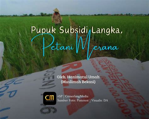 Pupuk Subsidi Langka Petani Merana Cemerlangmedia