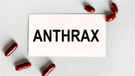 Anthrax: Definition, Transmission, Treatment