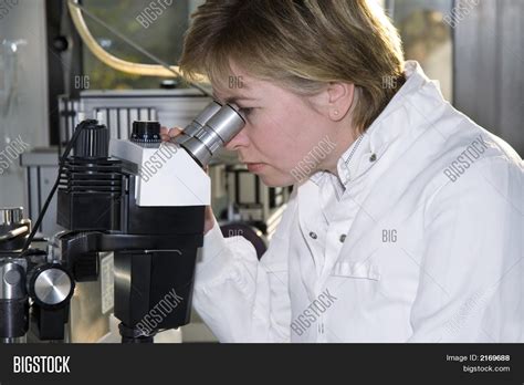 Work Laboratory Image And Photo Free Trial Bigstock