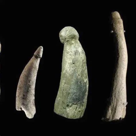 The Surprising Year History Of The Dildo