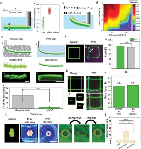 Physical Parameters Influencing Atps Print Stability A Schematic