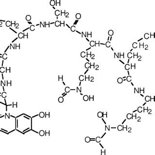 Structure Of The Pyoverdine Produced By P Aeruginosa Strain PAO1