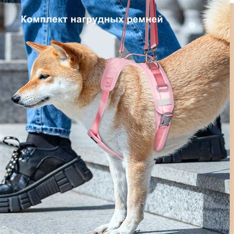 Полная поддержка для собак. Ходунки для собак, пожилых и травмированных ...