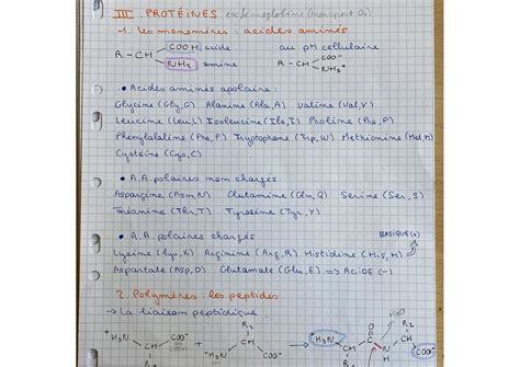 Fiche Biocelle L1 Biologie Cellulaire 1 Studocu