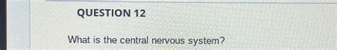 Solved QUESTION 12What is the central nervous system? | Chegg.com