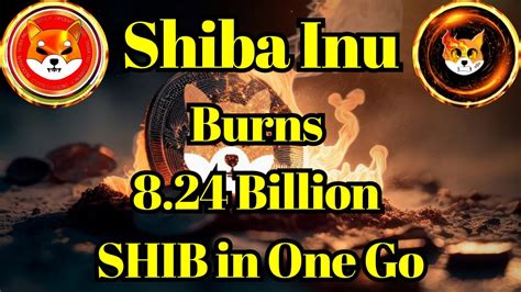 Crypto Hand Shiba Inu Team Burns Billion Shib In One Go Youtube