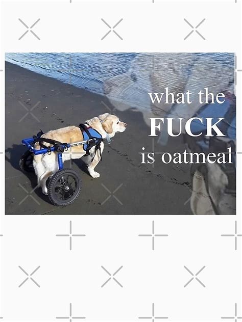 What The F Ck Is Oatmeal T Shirt For Sale By NetherSand Redbubble What T Shirts Fuck T