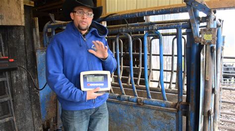 Setting Up A Cattle Scale System From A Kit Youtube