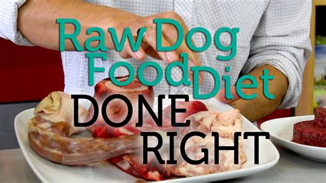 How To Do The Raw Dog Food Diet Right Youtube