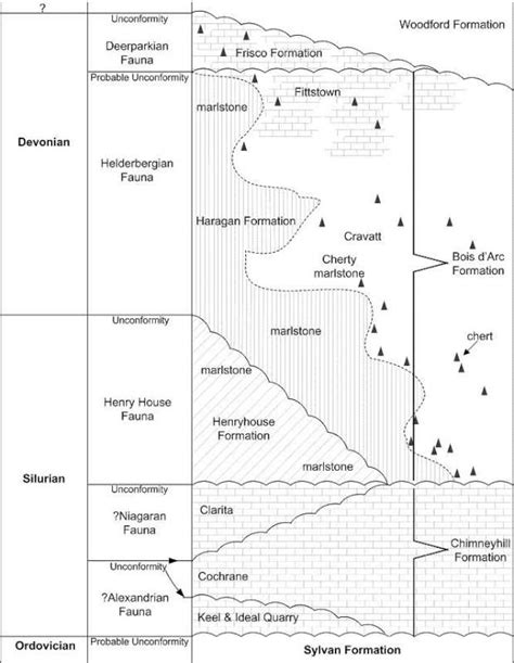 Trilobites Of Black Cat Mountain Coal County Oklahoma