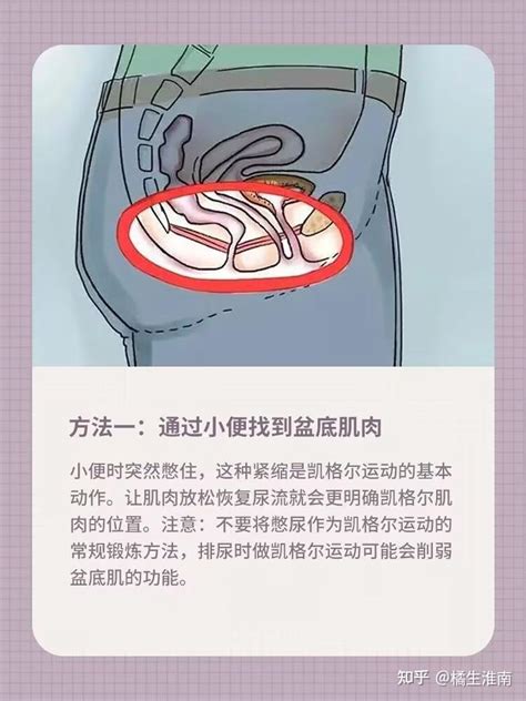 产后盆底肌修复全攻略 知乎