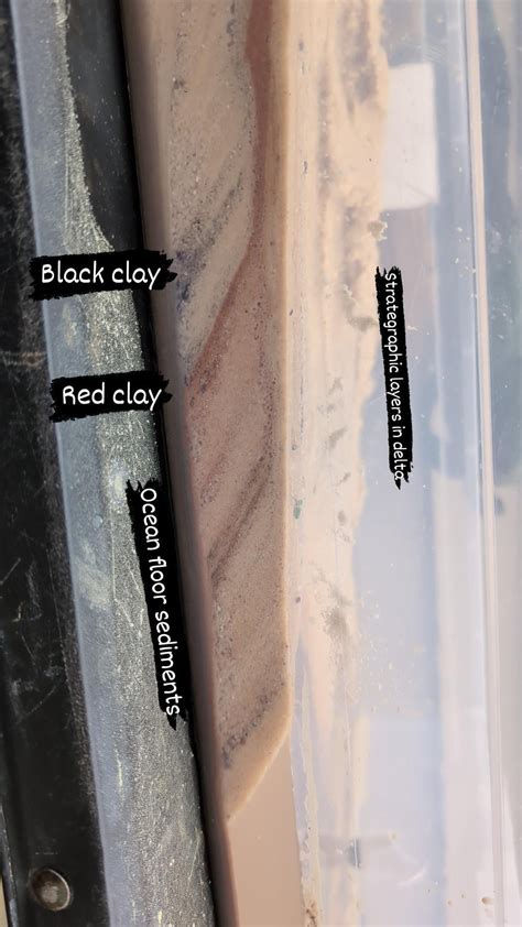 Visualizing how rivers deposit sand and silt into body's of water : r ...