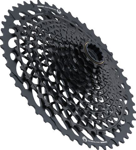 Sram Xg Fach Kassette F R X Eagle Modell Bike Components