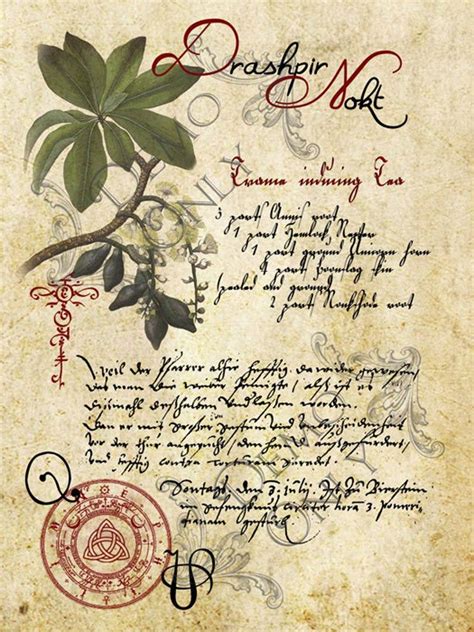 Grimoire Spell Herbs And Book Of Shadows Pages Practical Etsy In 2021