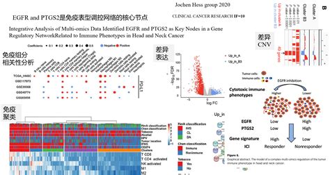 上海宏序生物科技有限公司 转录组