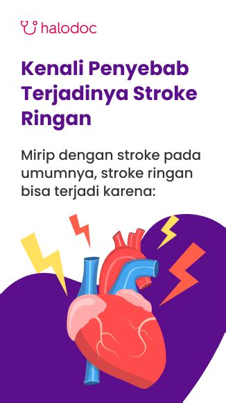 Wajib Tahu Ini Penyebab Terjadinya Stroke Ringan