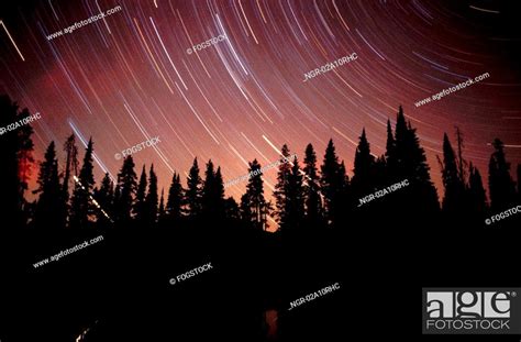 Woodlands and star trails, Stock Photo, Picture And Royalty Free Image. Pic. NGR-02A10RHC ...