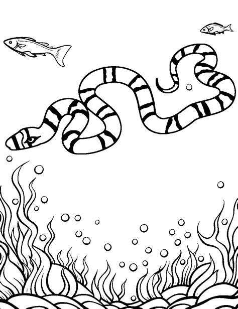 30 Snake Coloring Pages Printable Cute Sheets