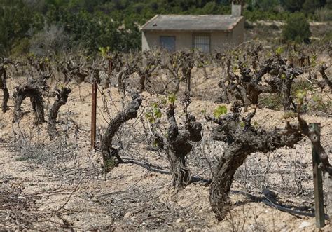 Sequía en la Comunitat Valenciana La Comunitat tiene asegurada el