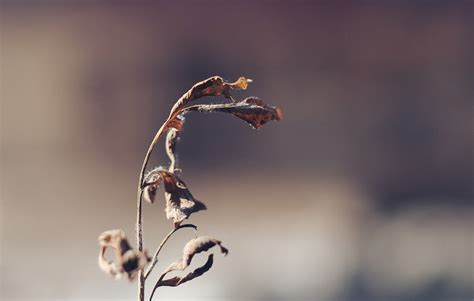 "Speak to Sell" is Killing your Sales - Voice Matters