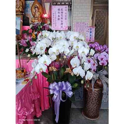 1130224 7喪禮送花查詢區 台中花店 10號鮮花店提供您全省網路訂花服務花禮盆栽蘭花花禮等各種類訂花及代客送花服務