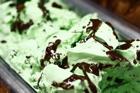 Mint Chocolate Chip Gelato Recipe 🍨 Hardcore Italians