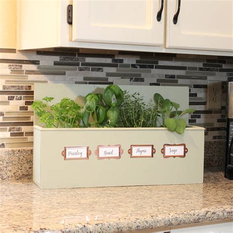 Herb Garden Kitchen 5 Indoor Herb Garden Ideas Hgtv S Decorating