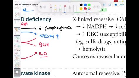 G6pd Haematology 49 First Aid Usmle Step 1 In Urdu Hindi Youtube